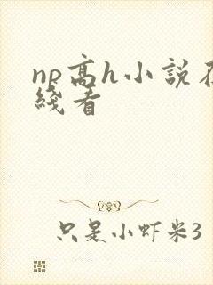 np高h小说在线看封面