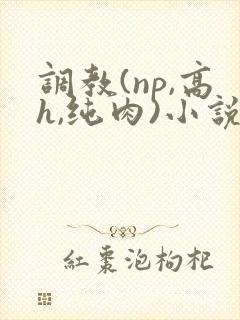 调教(np,高h,纯肉)小说