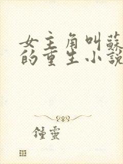 女主角叫苏倾城的重生小说