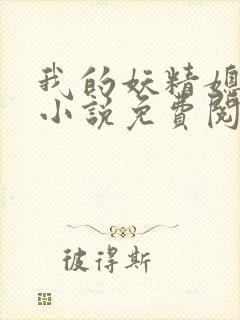 我的妖精媳妇儿小说免费阅读封面