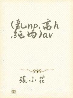 (乱np,高h,纯肉)av