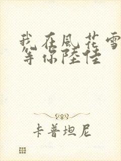 我在风花雪月里等你陆佳