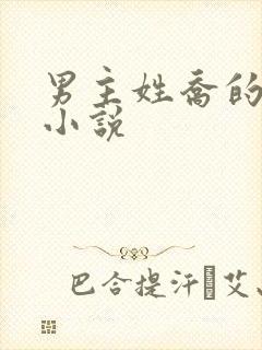 男主姓乔的现代小说封面