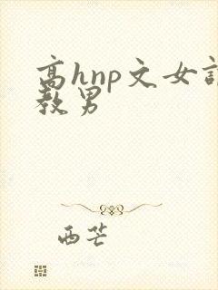 高hnp文女调教男