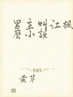 男主叫江枫是什么小说