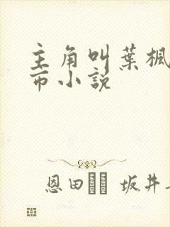 主角叫叶枫的都市小说