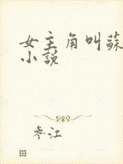 女主角叫苏鸢的小说