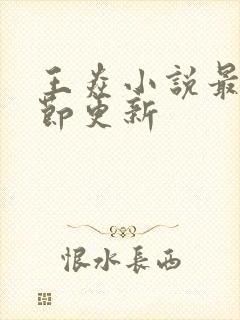 王焱小说最新章节更新