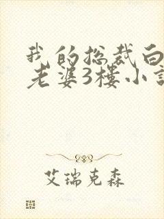 我的总裁白富美老婆3楼小说封面