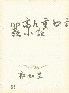np高h重口调教小说封面