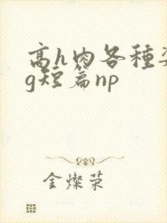 高h肉各种姿势g短篇np