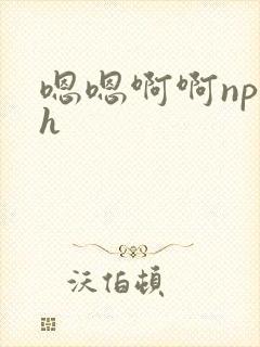 嗯嗯啊啊np高h封面