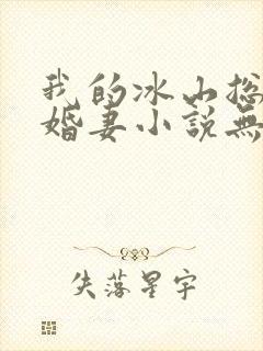 我的冰山总裁未婚妻小说无弹窗