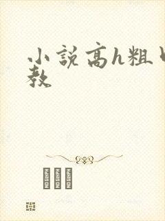 小说高h粗口调教