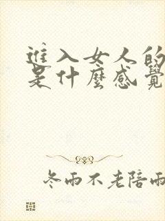 进入女人的阴道是什么感觉