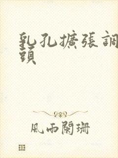 乳孔扩张调教奶头