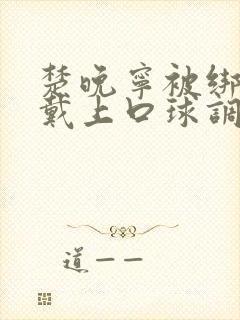 楚晚宁被绑强制戴上口球调教小说封面