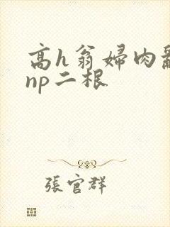 高h翁妇肉乱文np二根封面