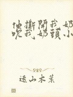 他撕开我奶罩揉吮我奶头小说