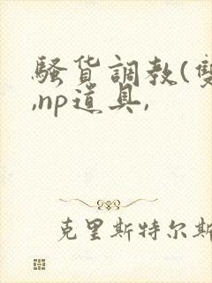 骚货调教(双性,np道具,