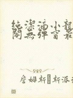 纯洁滴小龙笔趣阁无弹窗最新章节阅