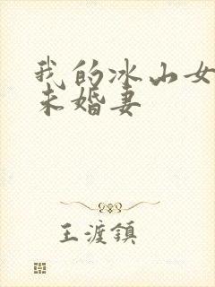 我的冰山女总裁未婚妻