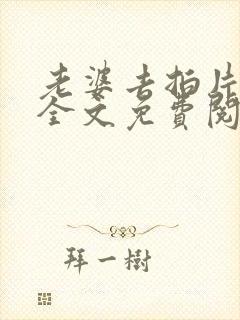 老婆去拍片小说全文免费阅读笔趣阁