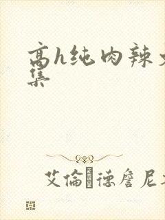 高h纯肉辣文合集封面