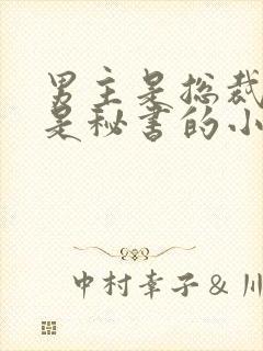 男主是总裁女主是秘书的小说