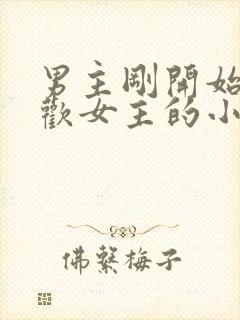 男主刚开始不喜欢女主的小说