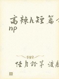 高辣h短篇合集np
