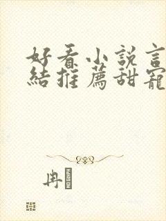 好看小说言情完结推荐甜宠文