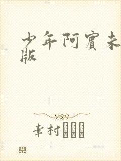 少年阿宾未删减版