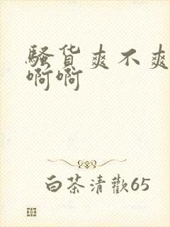 骚货爽不爽啊啊啊啊