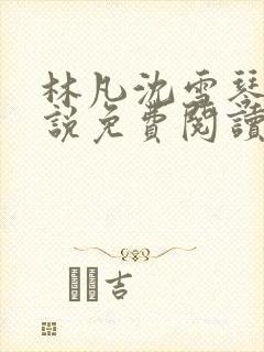 林凡沈雪琴的小说免费阅读