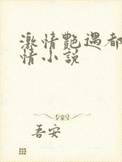 激情艳遇都市激情小说封面