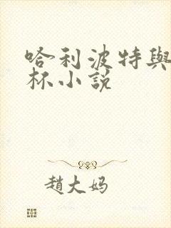 哈利波特与火焰杯小说