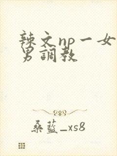 辣文np一女多男调教