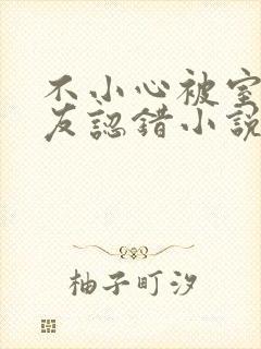 不小心被室友男友认错小说封面