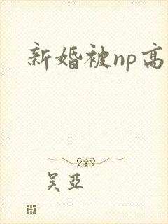 新婚被np高h封面