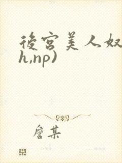 后宫美人奴(高h,np)