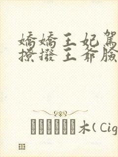 娇娇王妃驾到,撩拨王爷脸红心跳