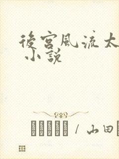 后宫风流太后乱 小说