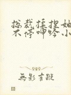 总裁揉捏她两乳不停呻吟小说