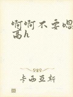 啊啊不要嗯嗯嗯高h