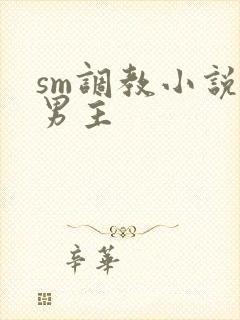 sm调教小说双男主封面