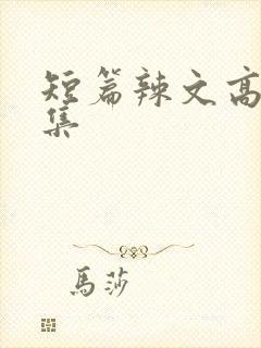 短篇辣文高h合集