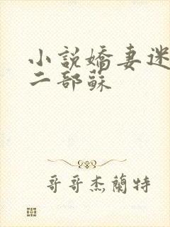 小说娇妻迷途第二部苏