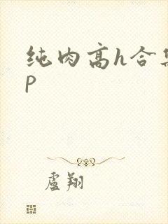 纯肉高h合集np