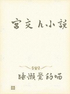 宫交 h小说封面